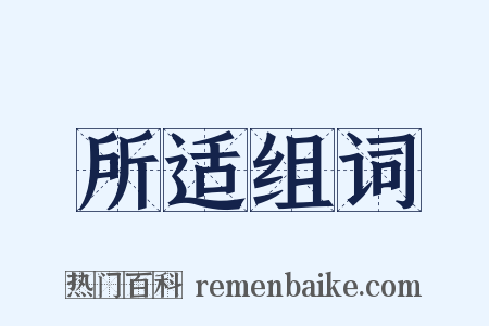 所适组词是什么意思的图片